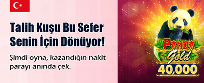 Güncel Giriş Adresiyle Hemen Bağlan